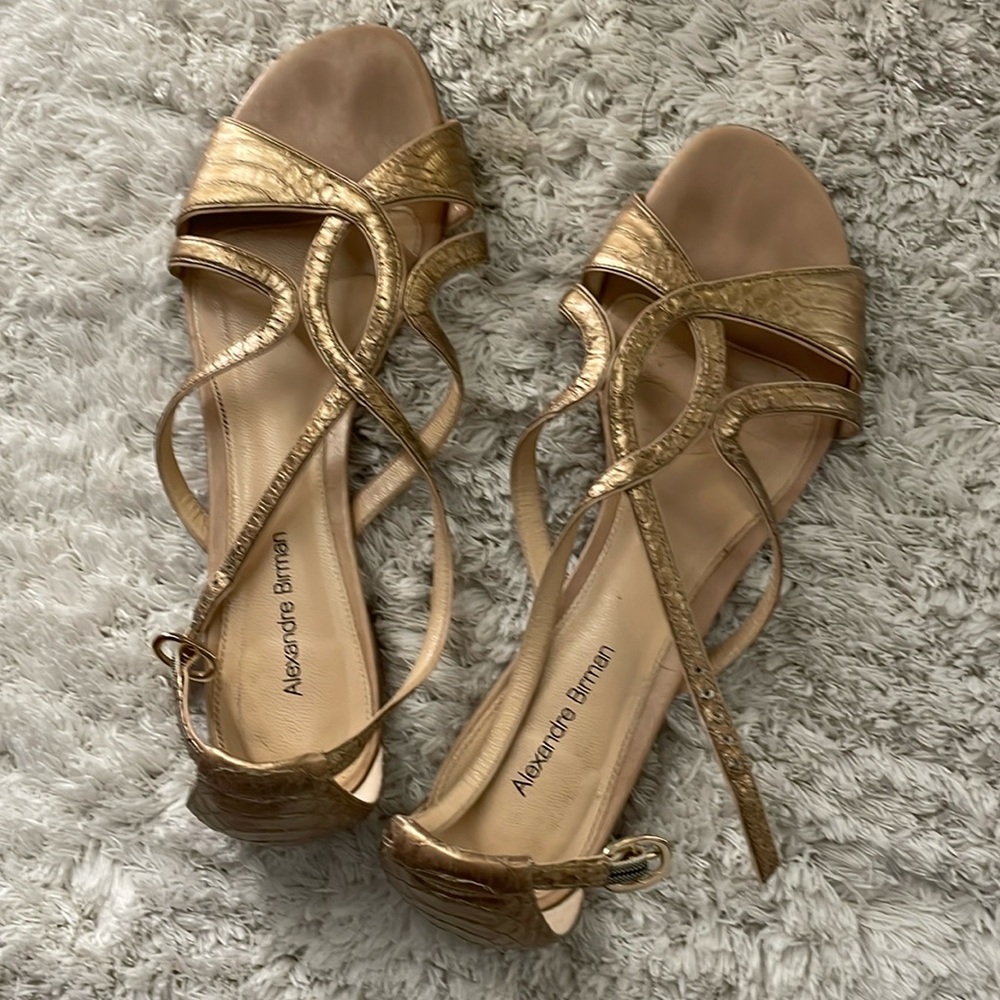 Alexandre Birman 8 1/2 Sandals